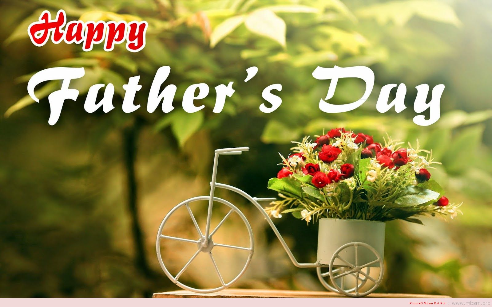 wwwmbsmpro--fathers-day-celebrate-it-on-the-third-sunday-of-june-mbsm-dot-pro