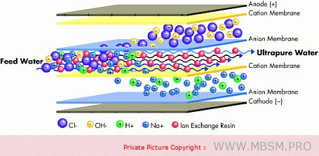 Elactrodeionisation for ultrapure water production