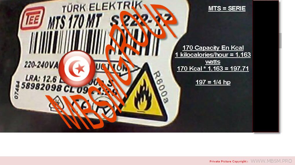 compressor-tee-turk-elektrik--r600a-mts200mt-mts170mt-mts185mt-mbsm-dot-pro