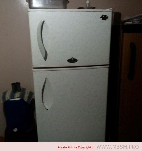 mbsmpro-kiriazi-refrigerator-2-doors-335-liter--e335-n3-14-feet-mbsm-dot-pro