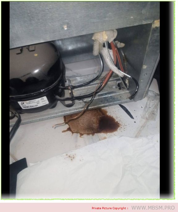 The refrigerator has a problem, it works for a minute and then shuts off mbsmpro